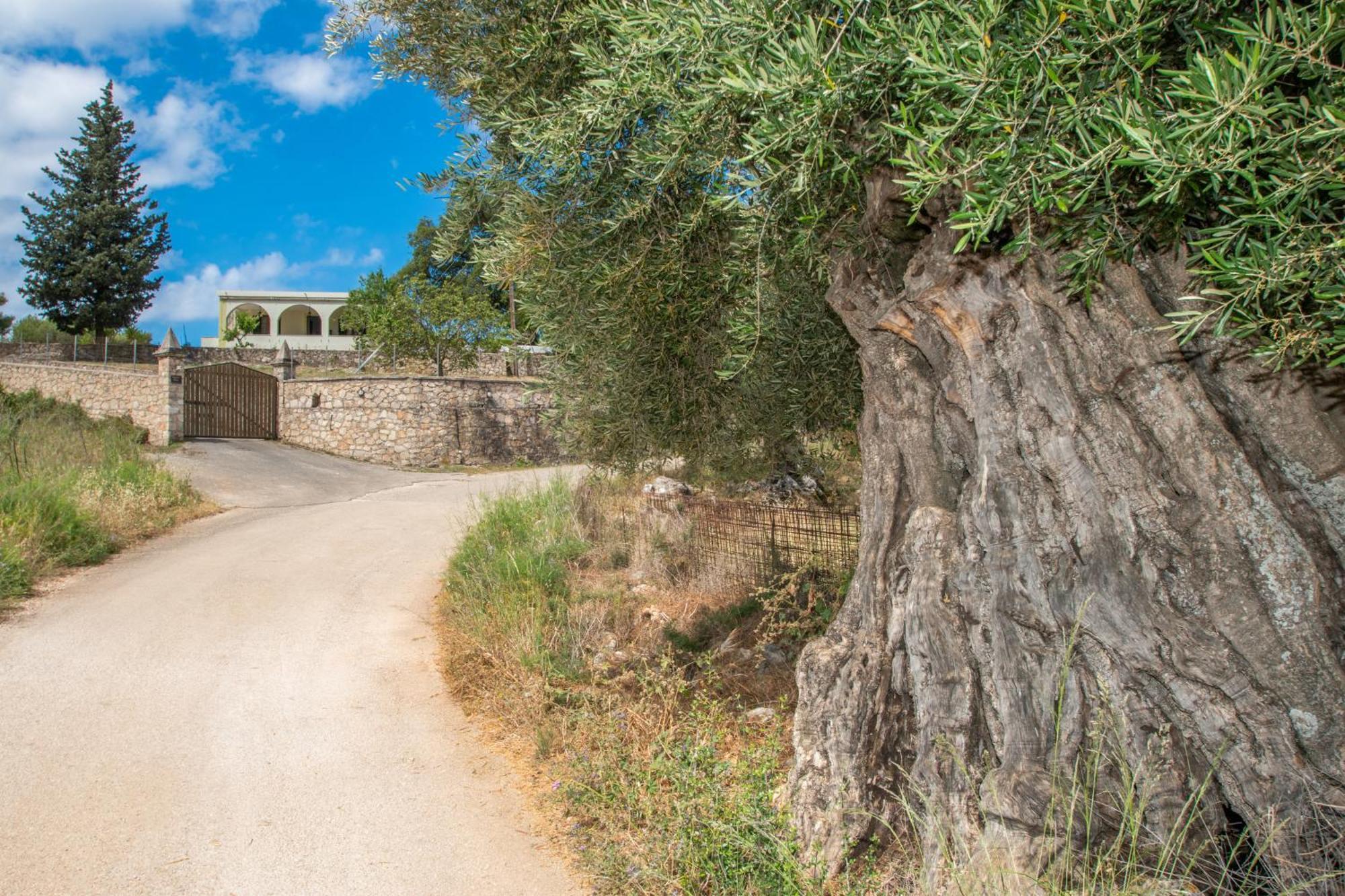 Leandros Private House Near Shipwreck Beach By "Elite" Maries  Luaran gambar
